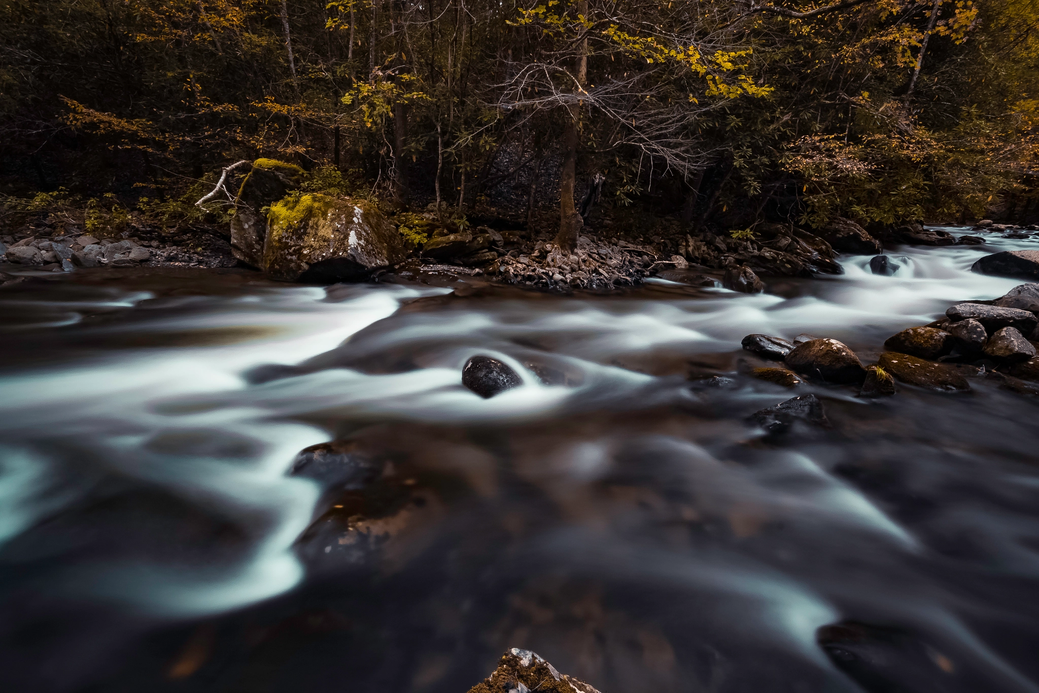 Sigma 10-20mm F4-5.6 EX DC HSM sample photo. A stream in the forests of tennessee. photography