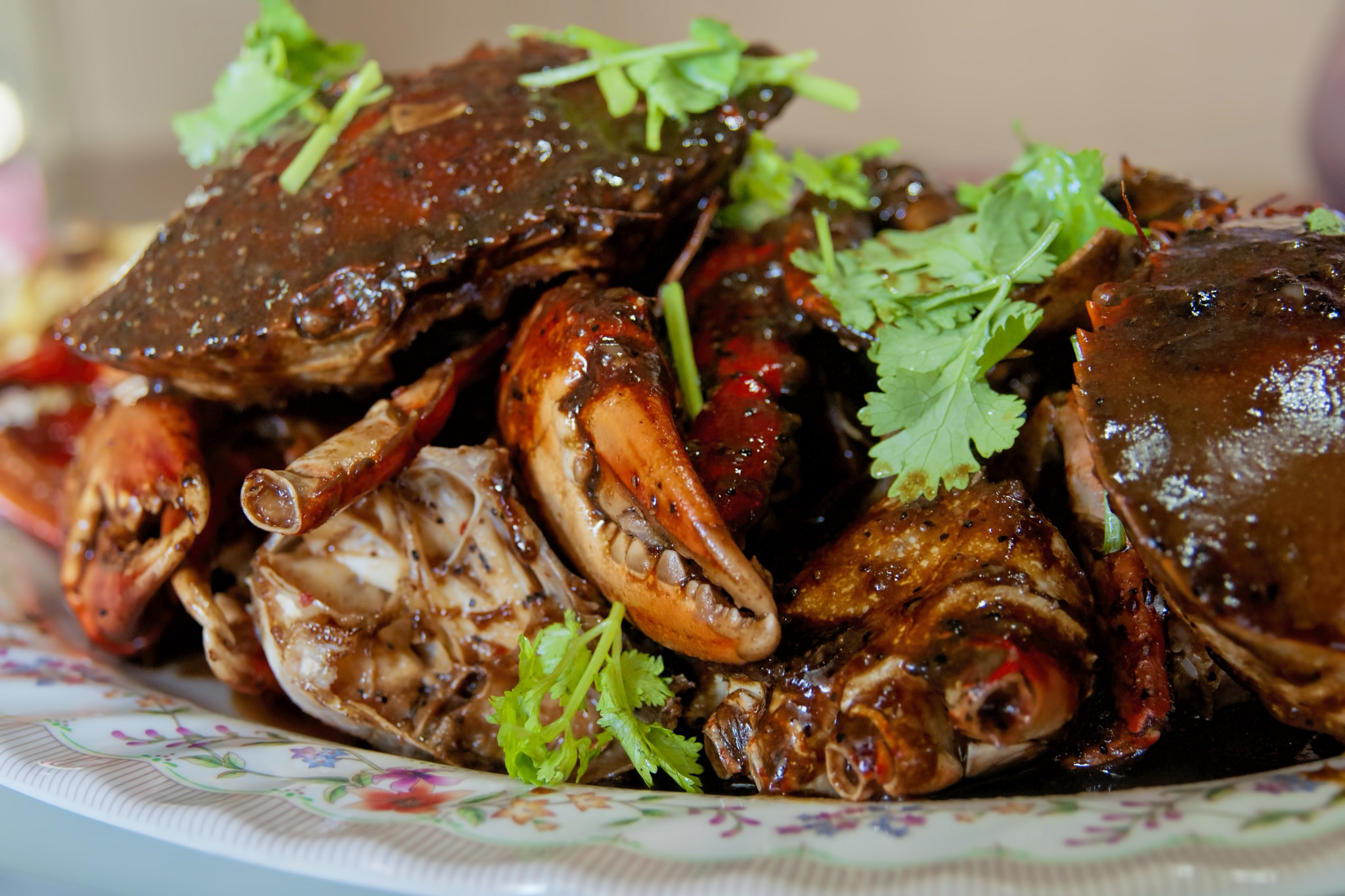 Nikon D90 sample photo. Black pepper crab photography