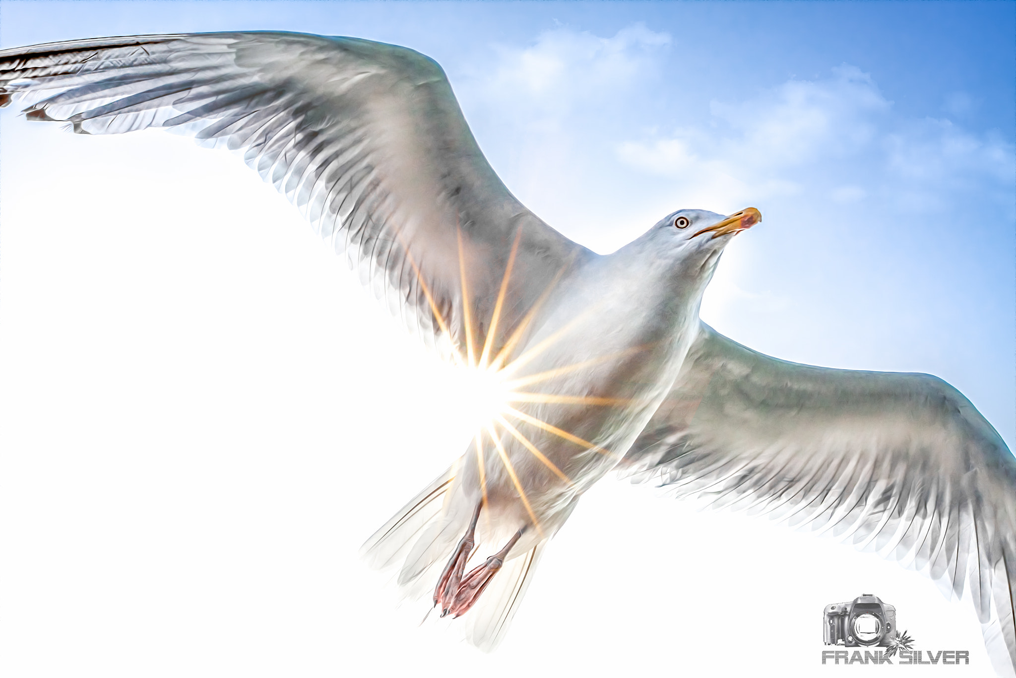 Sigma 70-200mm F2.8 EX DG OS HSM sample photo. Feel the freedom photography
