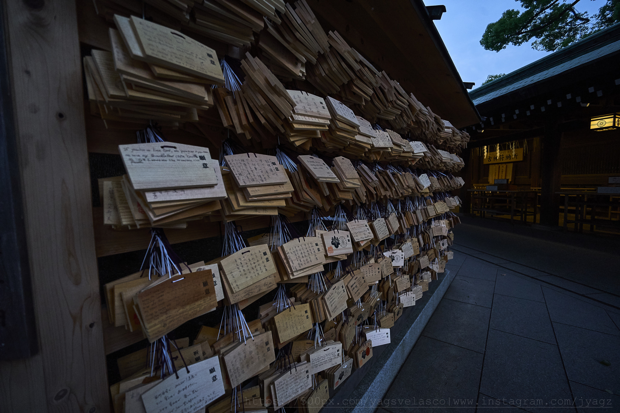 Sony a7 II + Voigtlander SUPER WIDE-HELIAR 15mm F4.5 III sample photo. Meiji shrine photography