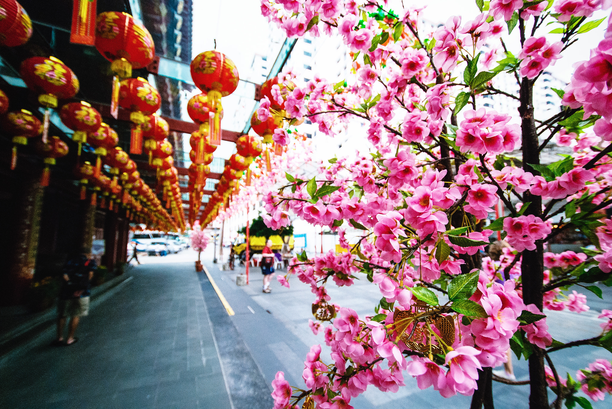 Nikon D80 sample photo. Buddha tooth temple photography