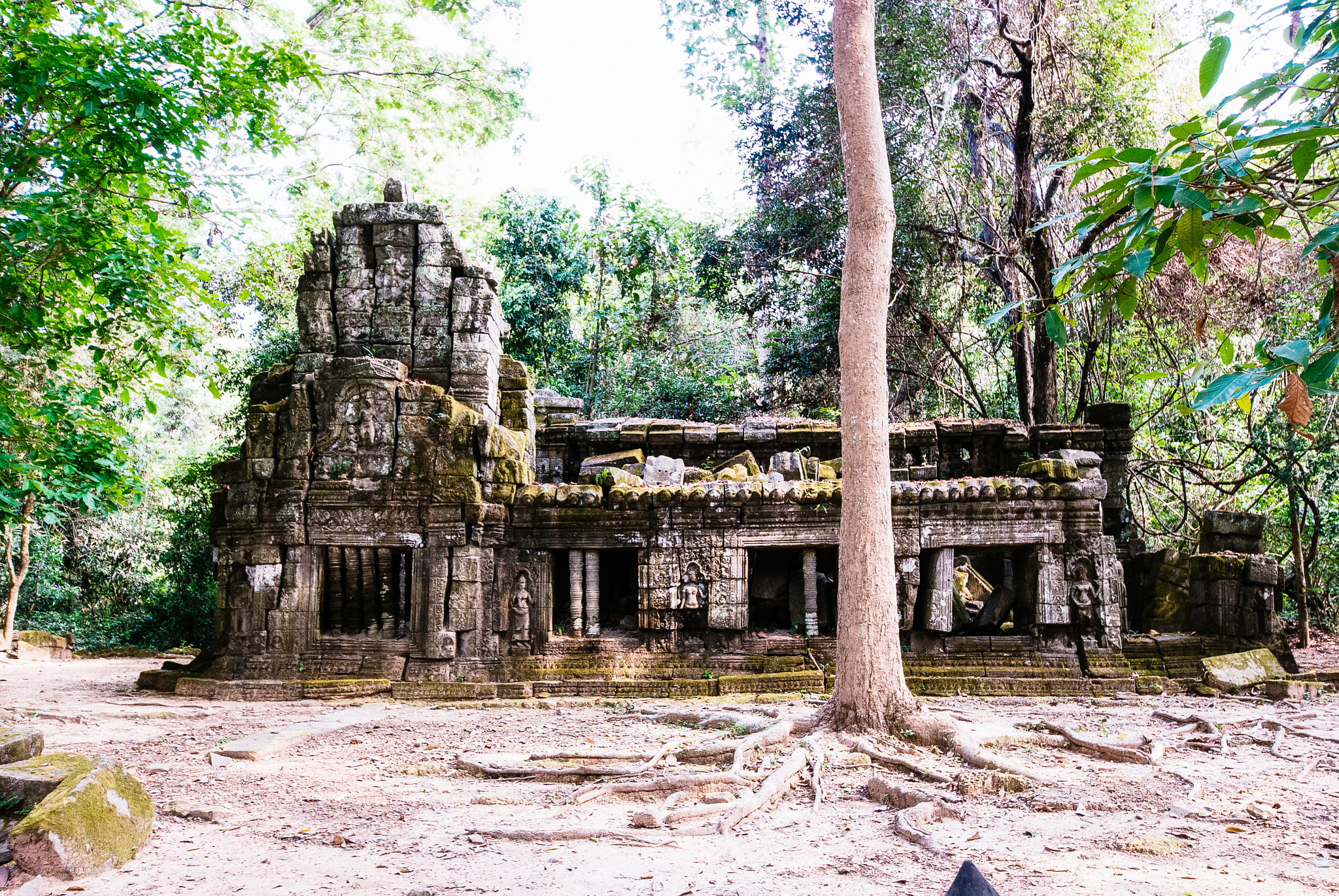 Nikon D80 sample photo. Angkor wat complex photography