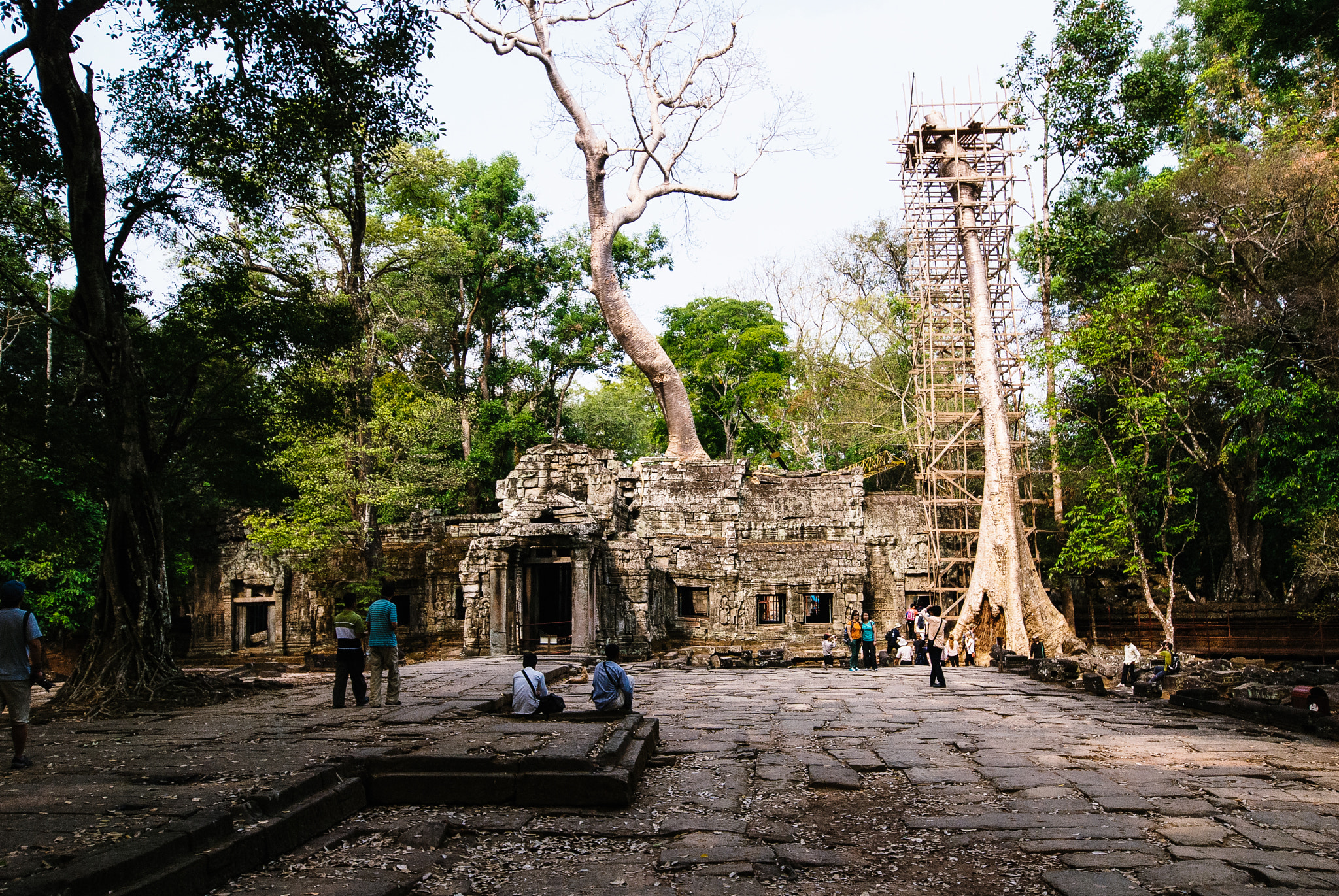 Nikon D80 sample photo. Angkor wat complex photography