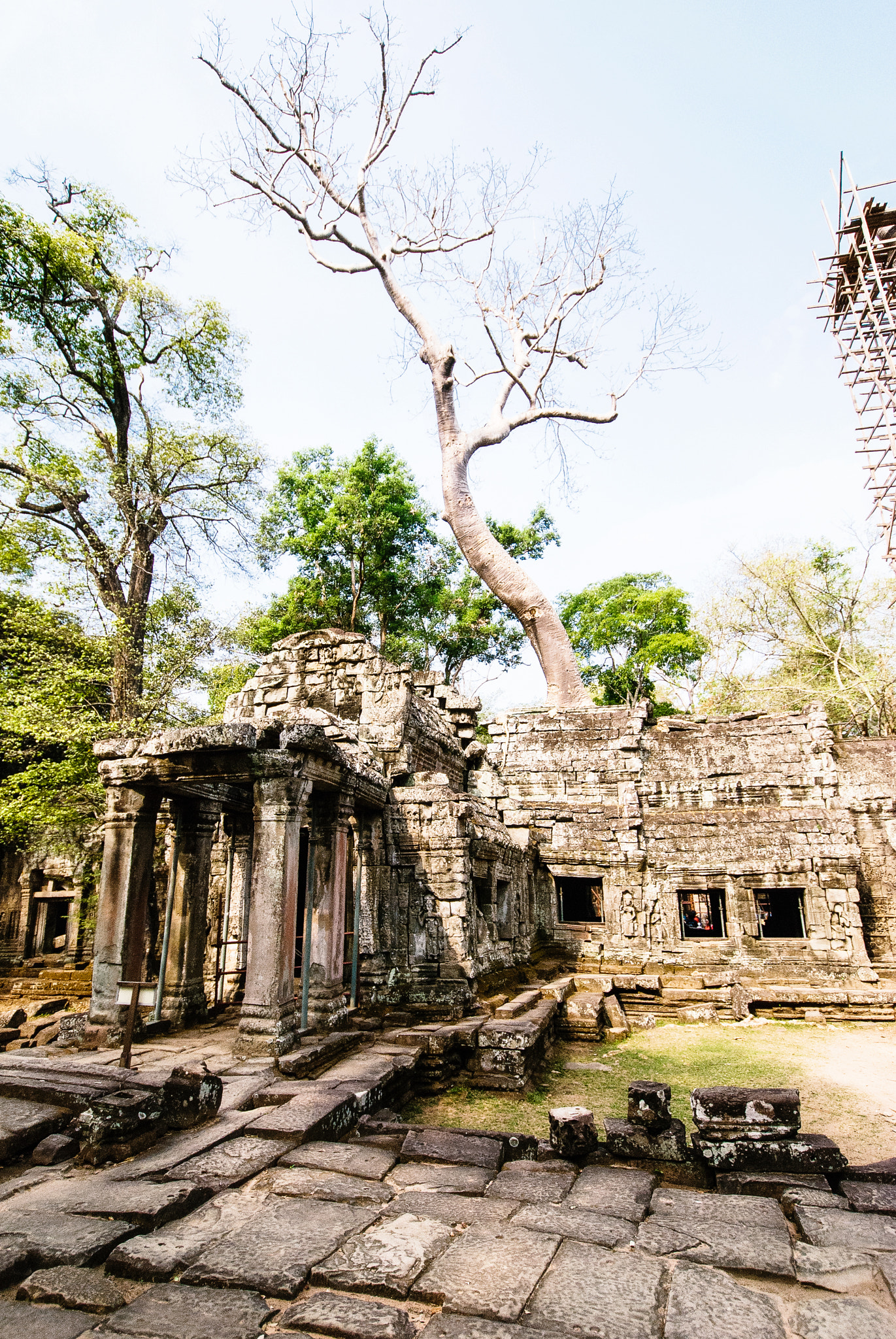 Nikon D80 sample photo. Angkor wat complex photography