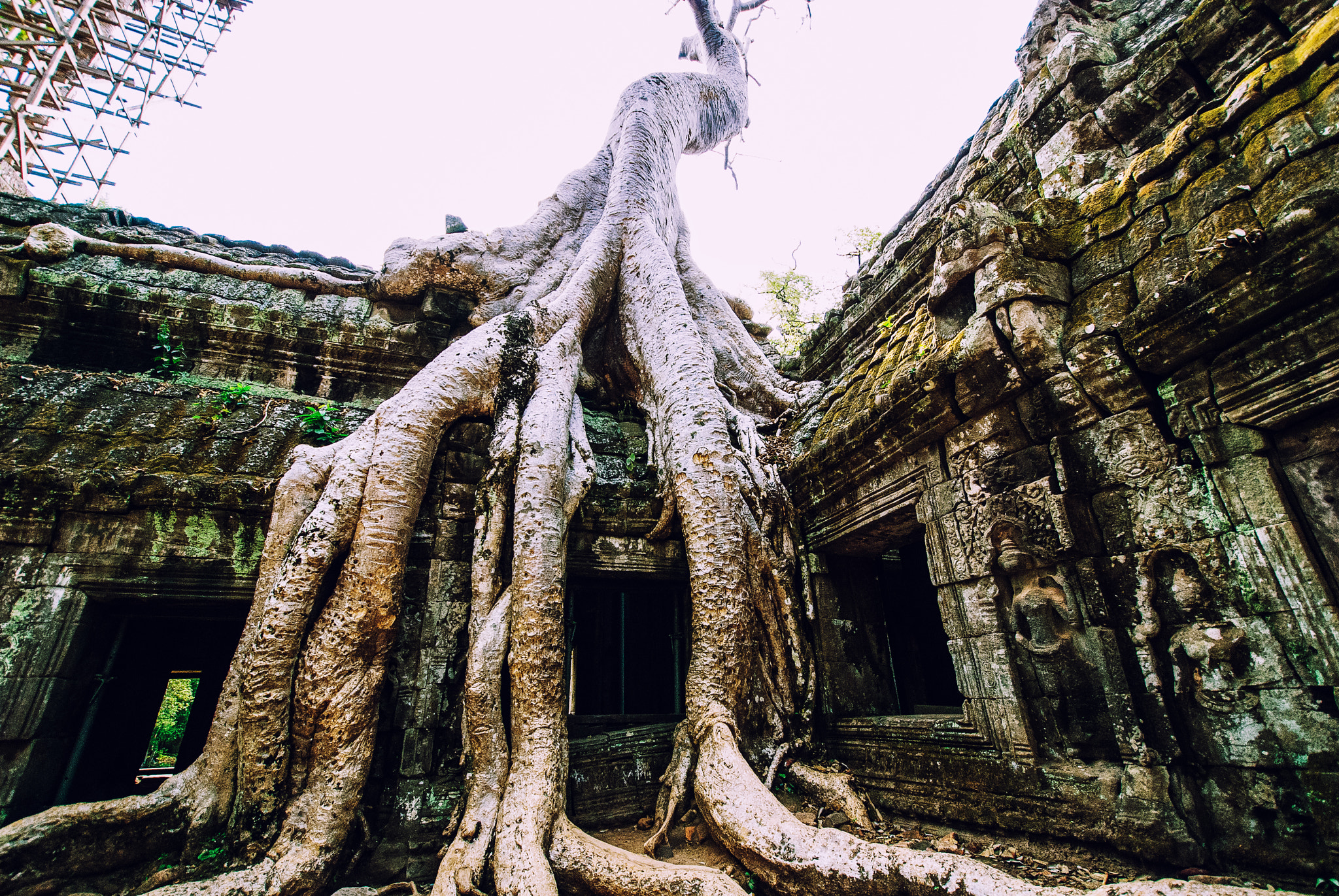 Nikon D80 sample photo. Angkor wat complex photography