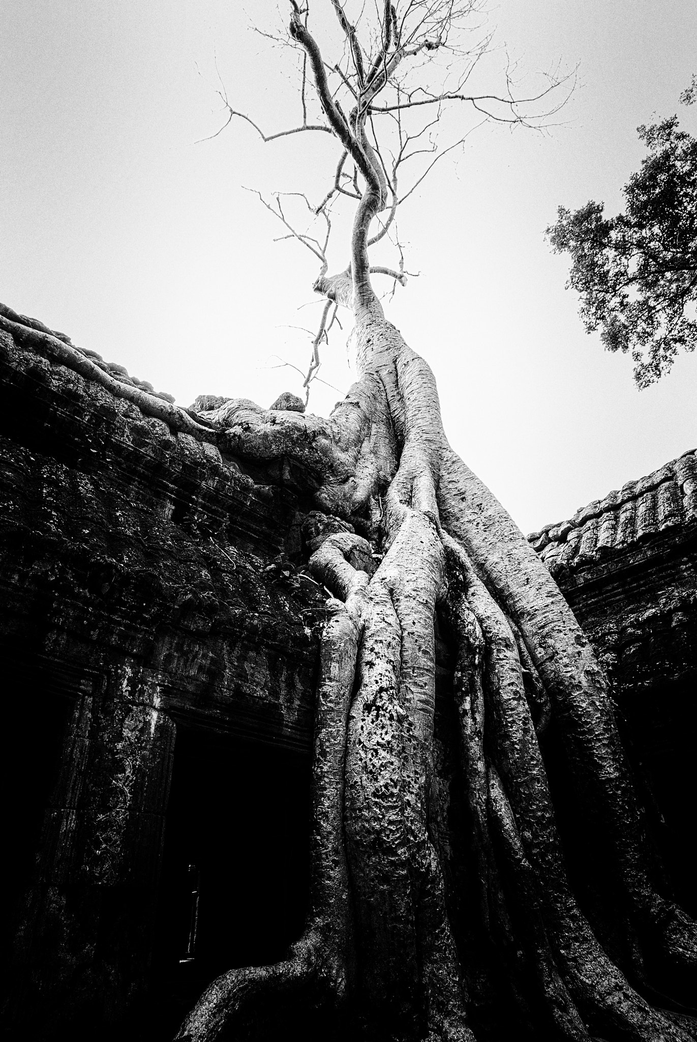 Nikon D80 sample photo. Angkor wat complex photography