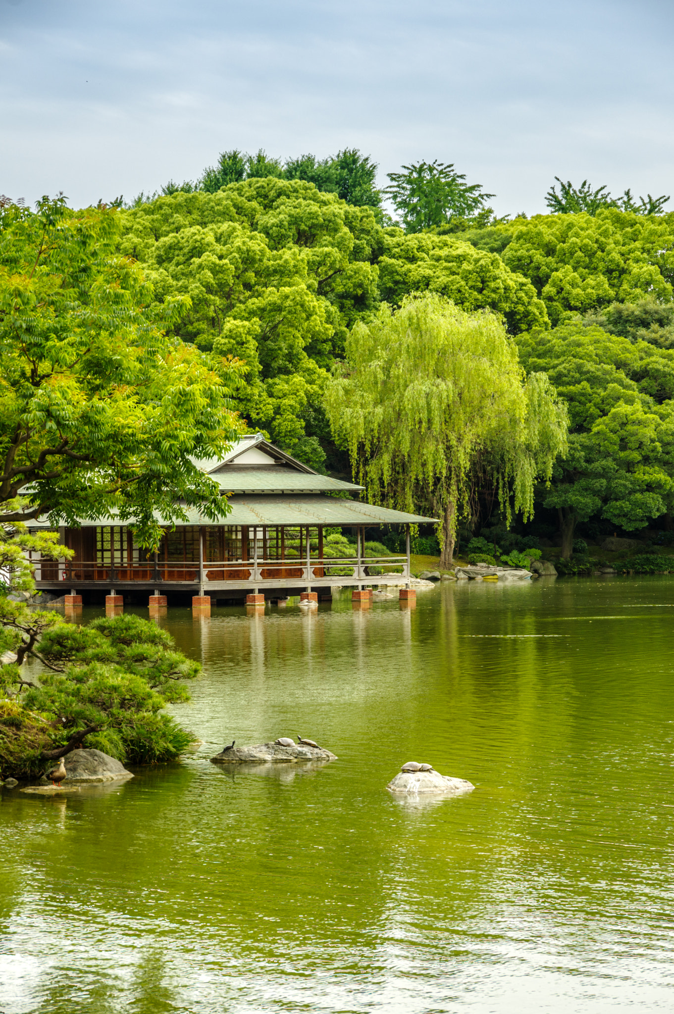 Pentax K-3 II sample photo. Kiyosumi-shirakawa photography