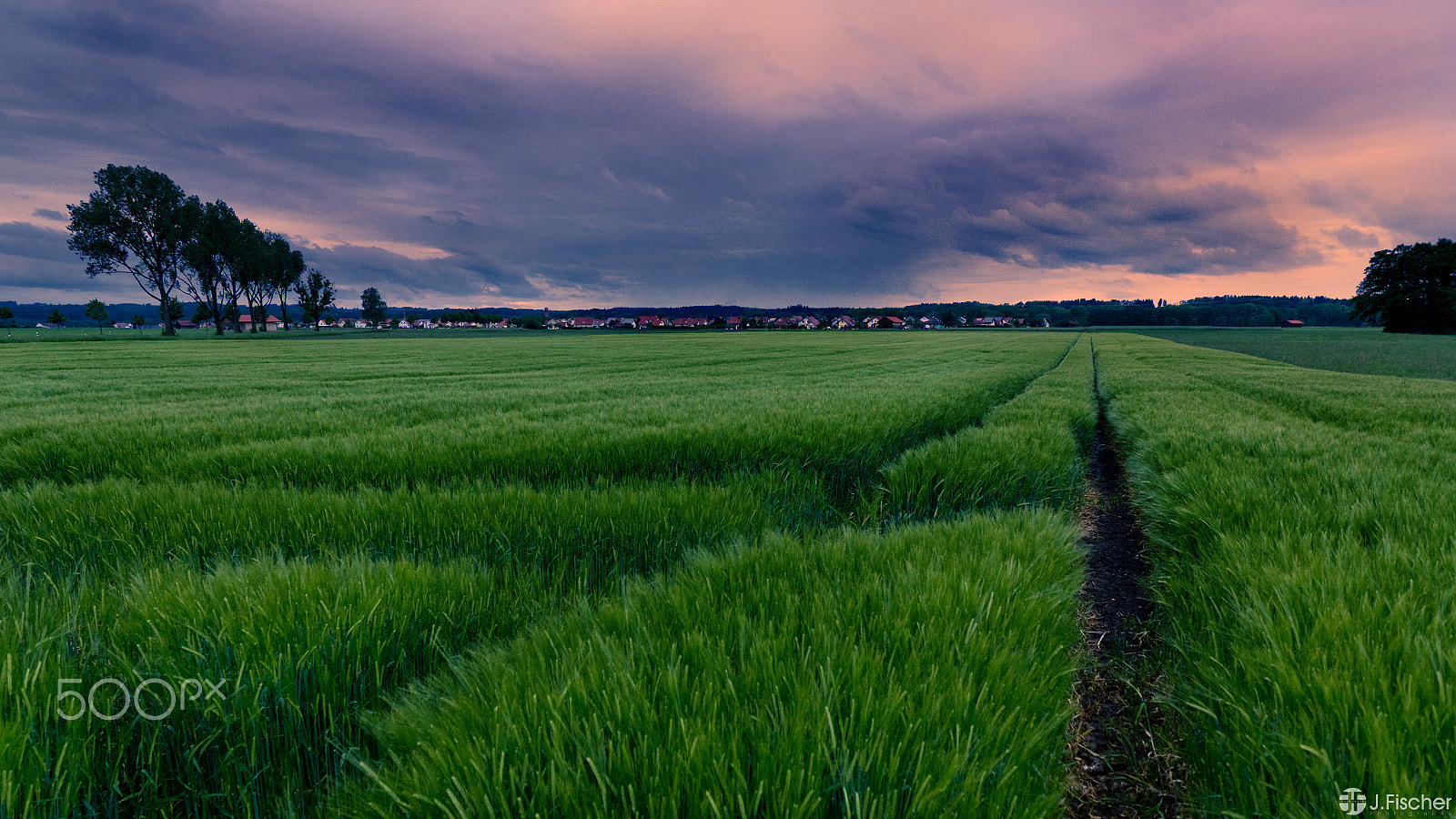 Nikon D7100 + Nikon AF Fisheye-Nikkor 16mm F2.8D sample photo. Field photography