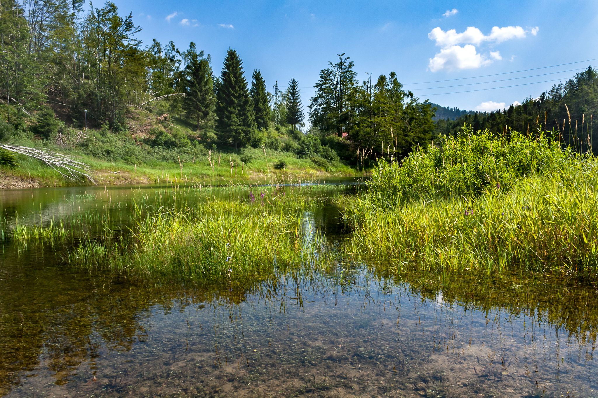 Canon EF-S 18-55mm F3.5-5.6 sample photo. Cold lake guide photography