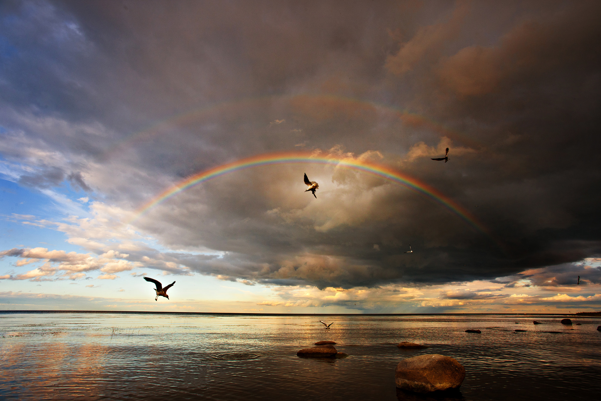 Canon EOS-1Ds Mark III sample photo. Ladoga lake photography