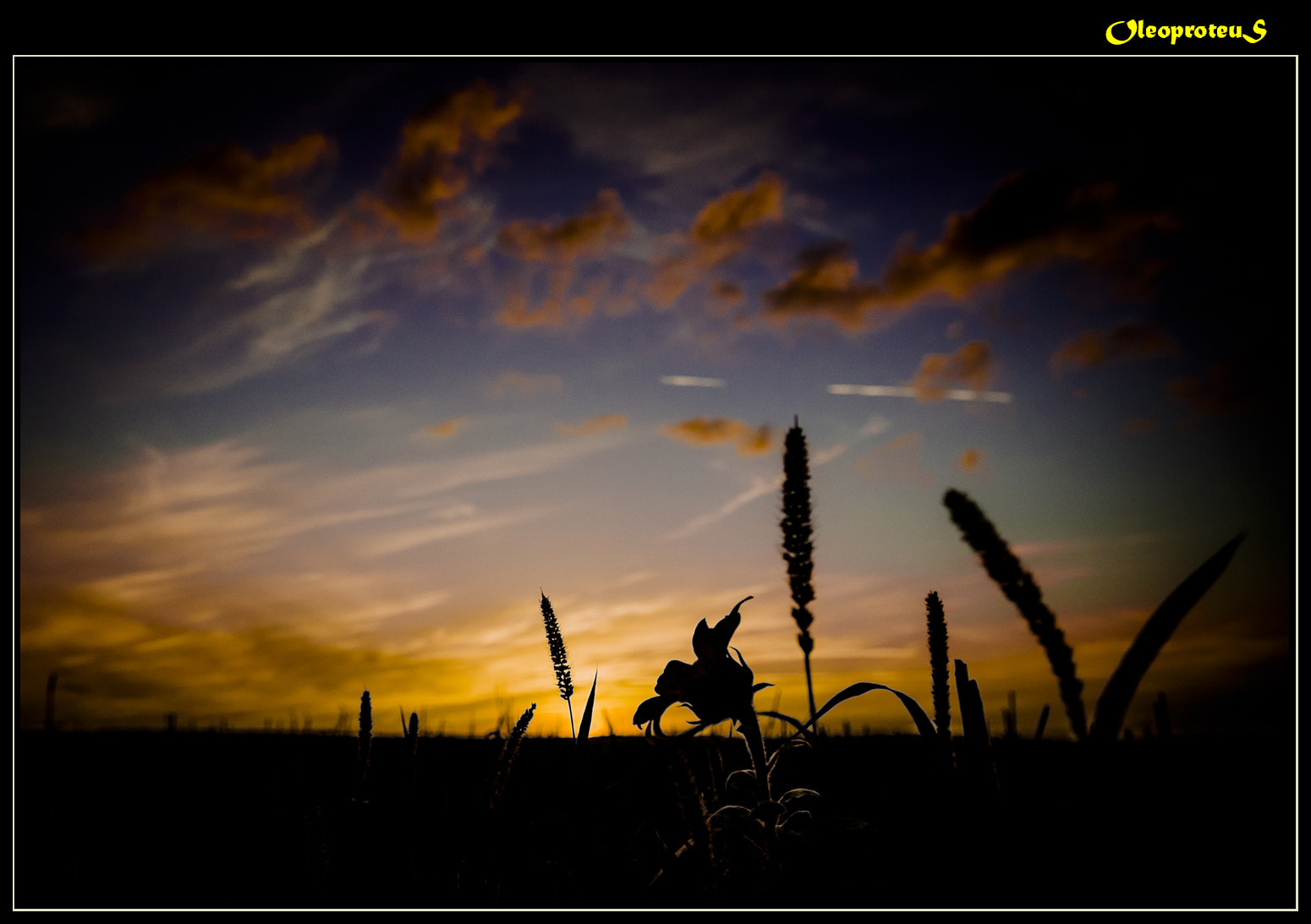 Pentax smc DA 17-70mm F4.0 AL (IF) SDM sample photo. Good night photography