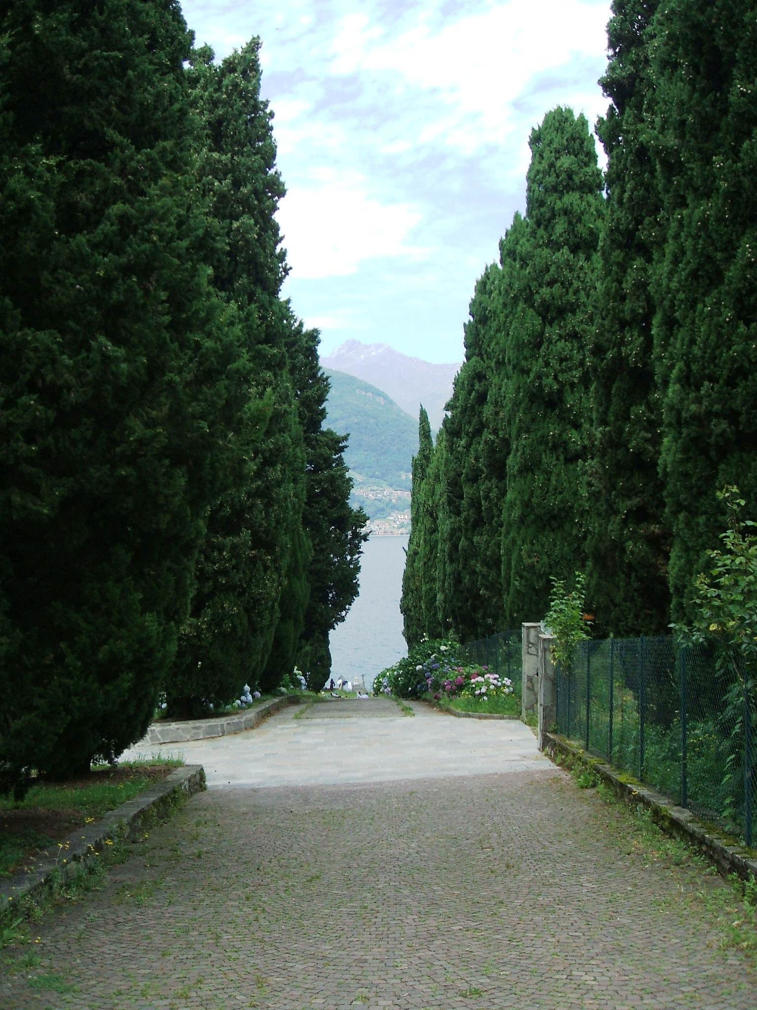 Fujifilm FinePix A500 sample photo. Il lago tra i cipressi photography