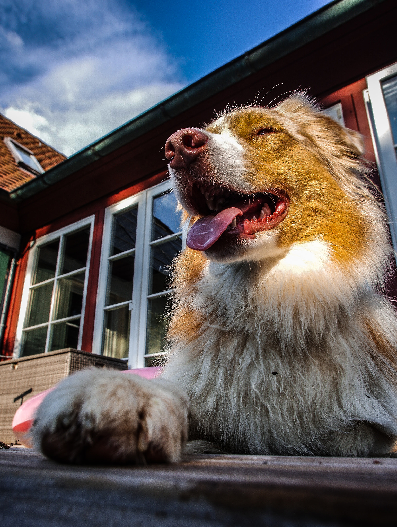 Pentax smc DA 15mm F4 ED AL Limited sample photo. Chillout photography