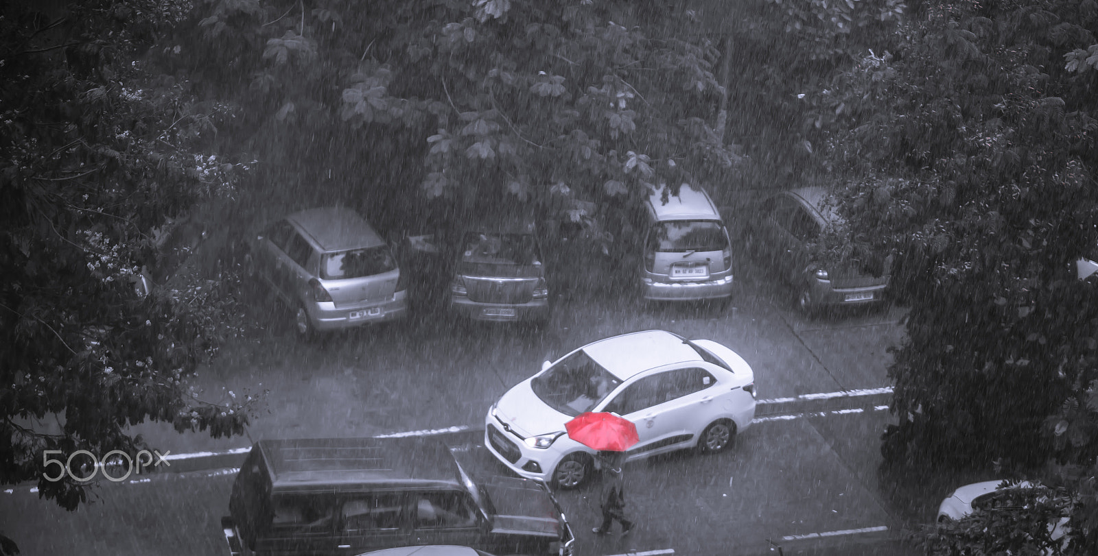 AF-S Zoom-Nikkor 80-200mm f/2.8D IF-ED sample photo. Rainy day photography