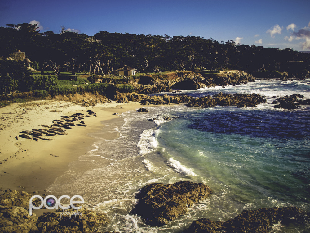 OLYMPUS 18mm-180mm Lens sample photo. Scenic drive pch photography