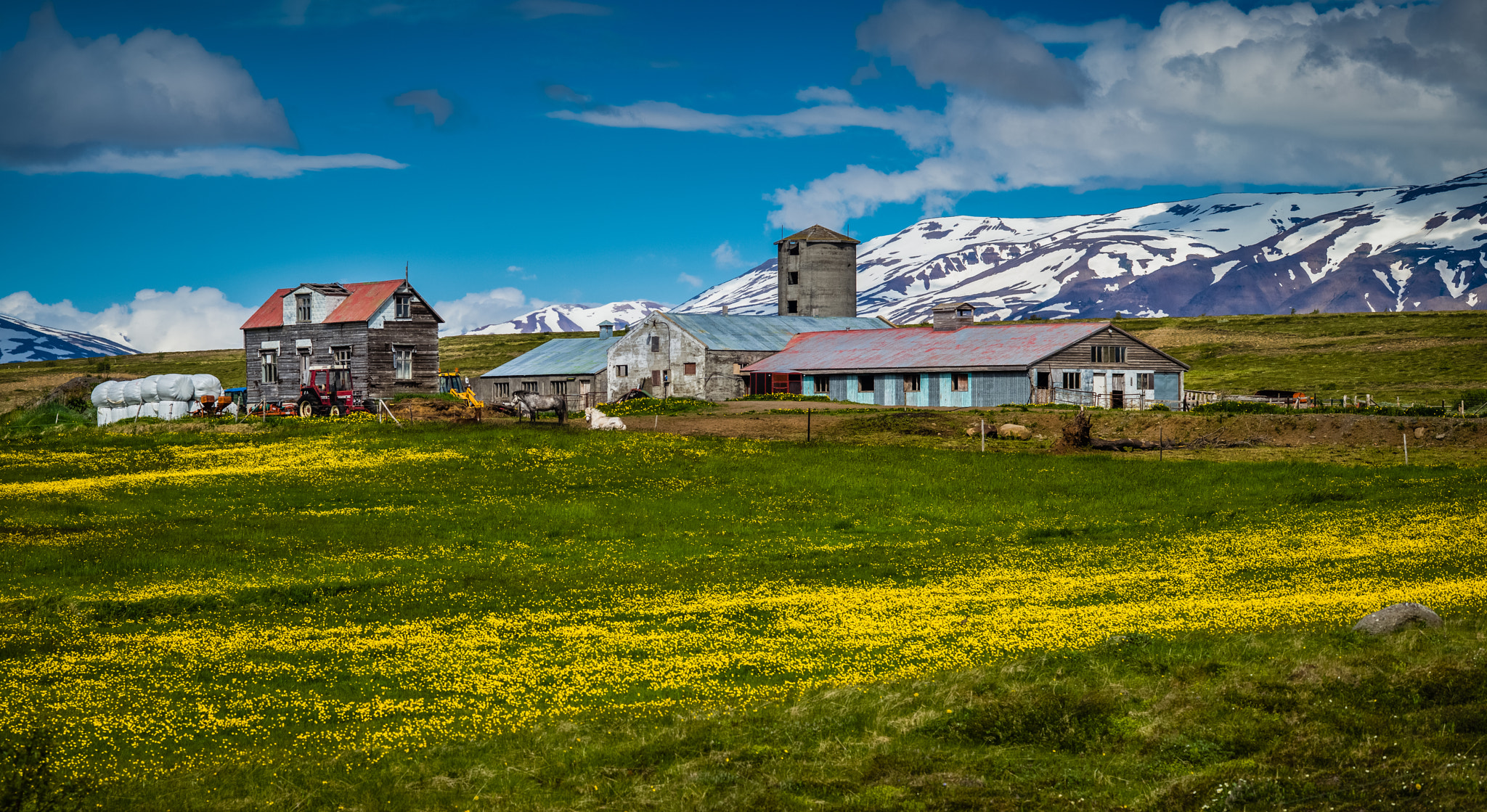 Leica APO-Summicron-M 90mm F2 ASPH sample photo. Iceland: the north - colorful iceland farming 1 :-))) photography