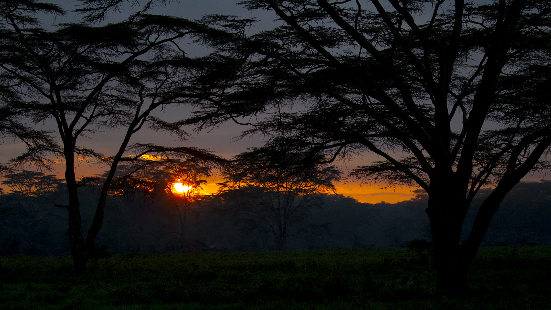 Canon EOS-1D Mark IV + Canon EF 100-400mm F4.5-5.6L IS II USM sample photo. Sunset at naivasha kenya photography