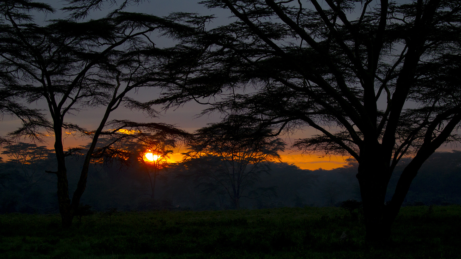 Canon EOS-1D Mark IV sample photo. Sunset at naivasha kenya photography