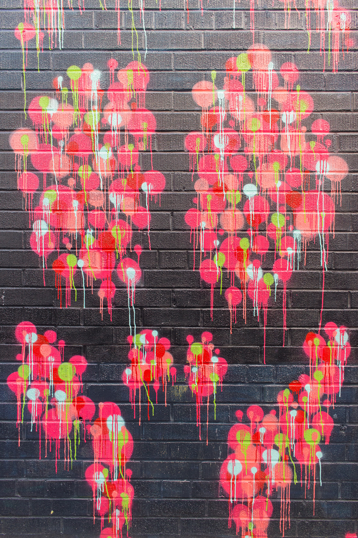 Canon EOS 100D (EOS Rebel SL1 / EOS Kiss X7) sample photo. Graffiti alley | toronto | ontario photography
