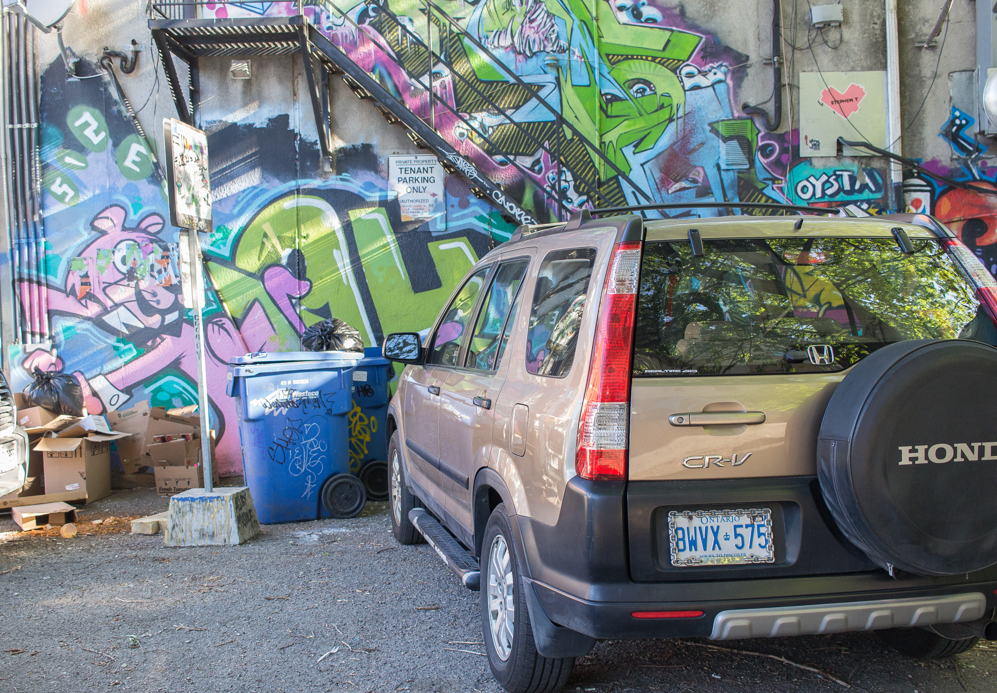 Canon EOS 100D (EOS Rebel SL1 / EOS Kiss X7) sample photo. Graffiti alley | toronto | ontario photography