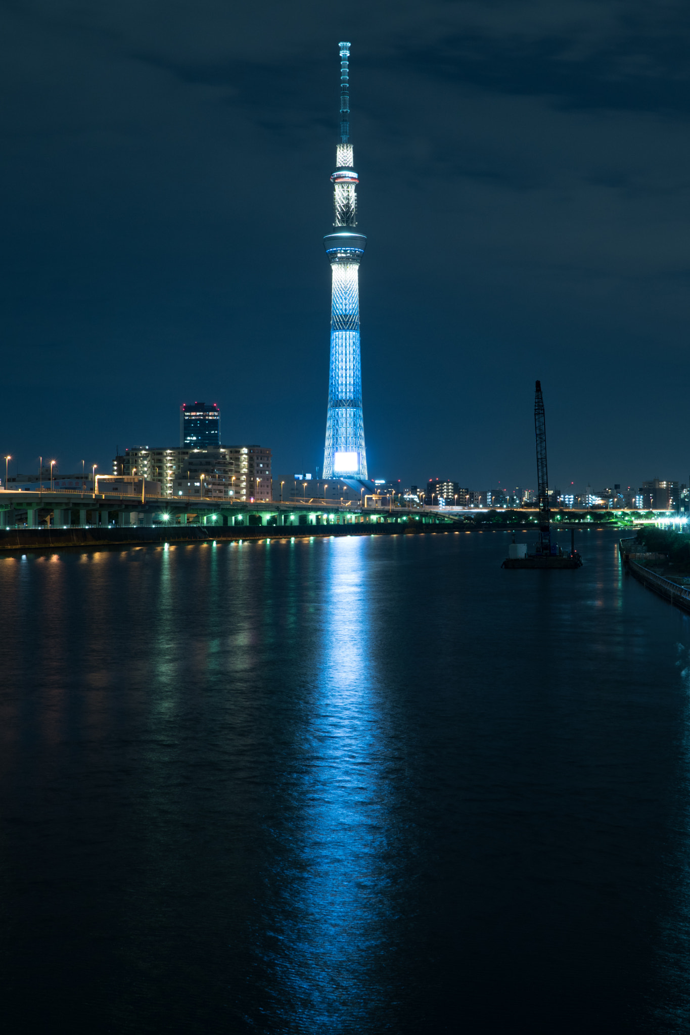 Sony a6300 + Sony Distagon T* FE 35mm F1.4 ZA sample photo. Tokyo sky tree photography