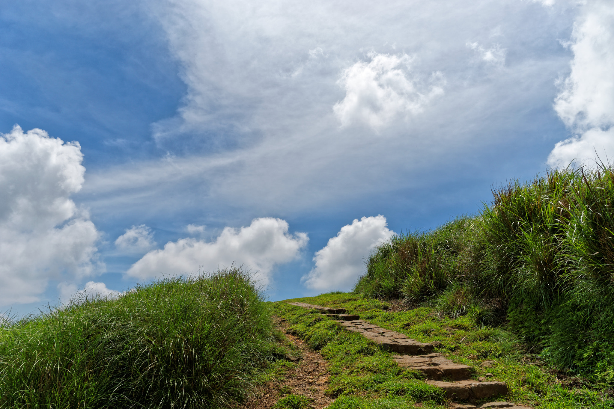Sony a7 + ZEISS Batis 25mm F2 sample photo. Trail (1) photography