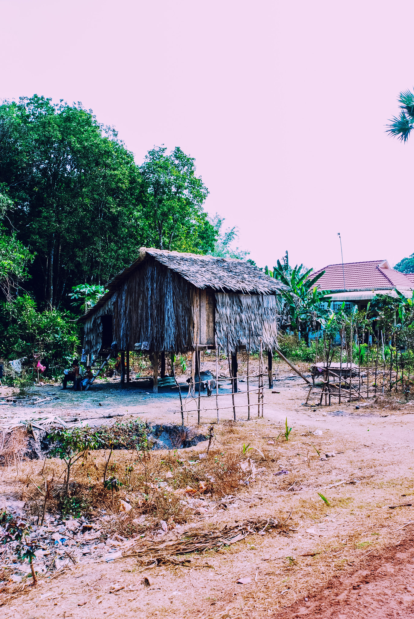 Nikon D80 sample photo. Rural siem reap photography