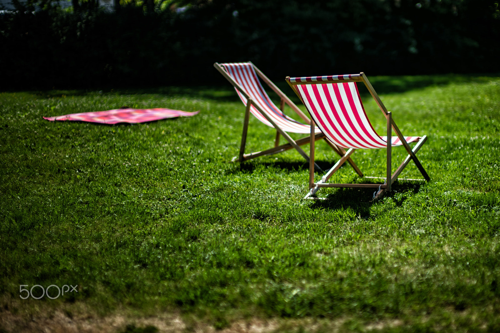 Leica Noctilux-M 50mm F0.95 ASPH sample photo. Summer is coming photography