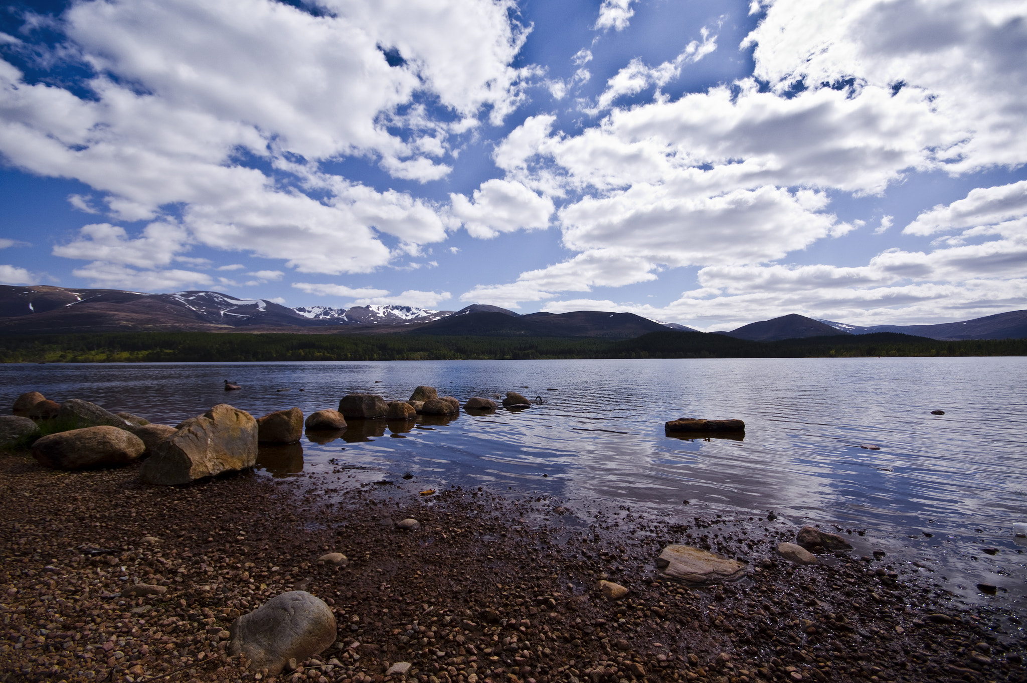 Sigma AF 10-20mm F4-5.6 EX DC sample photo. Loch morlich photography