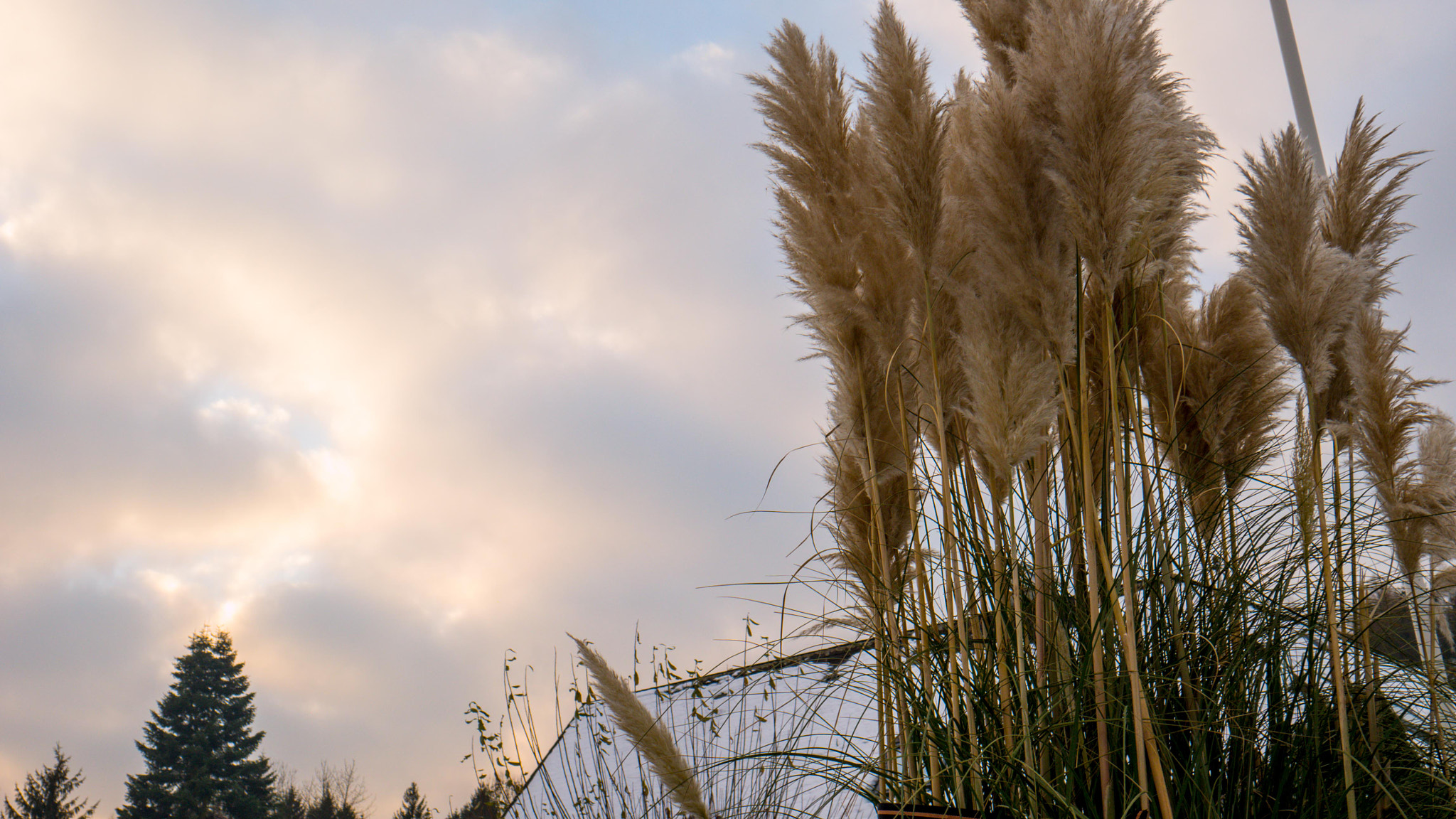 Panasonic DMC-G70 sample photo. Nature photography