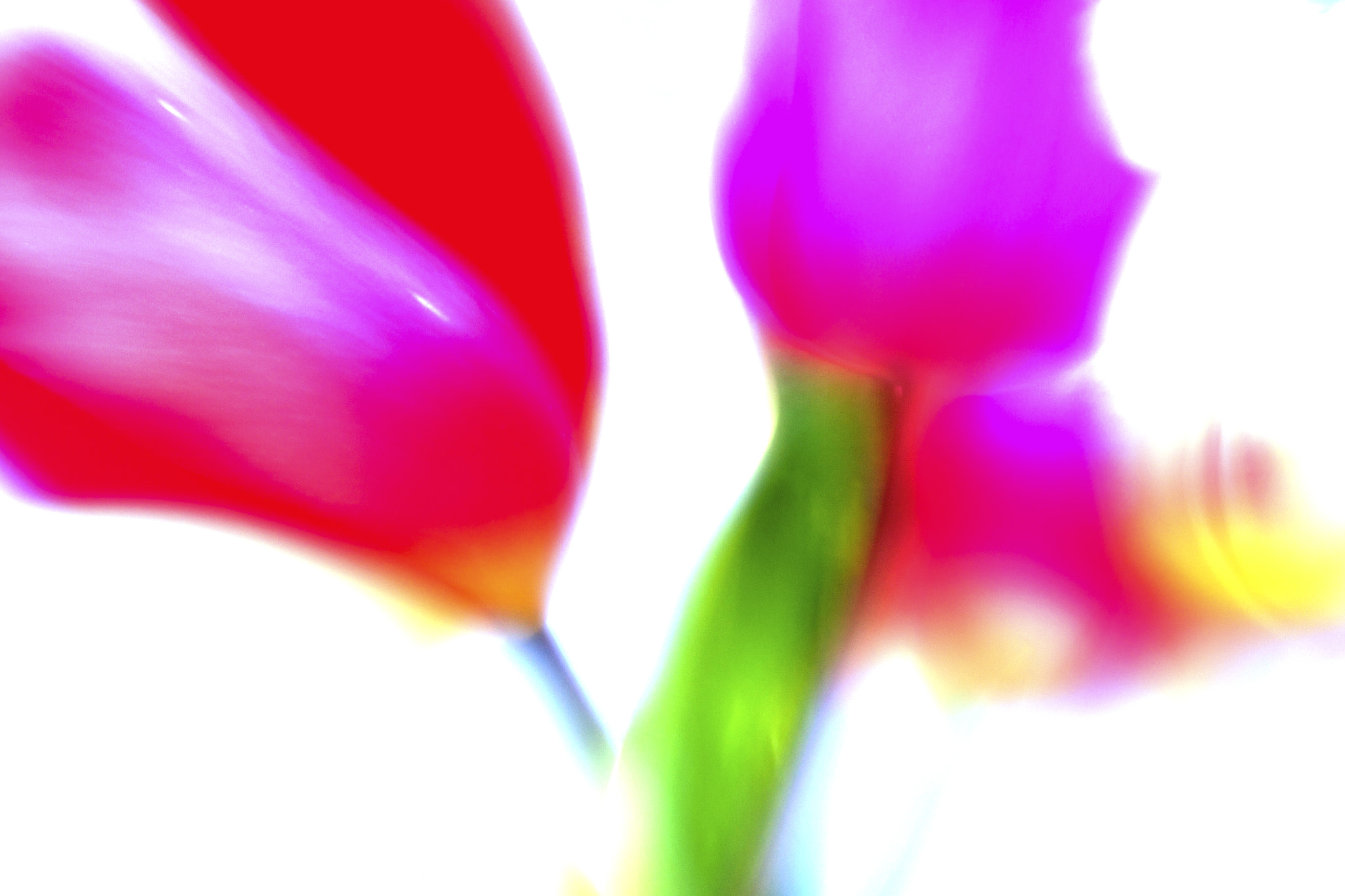 Canon EOS-1D Mark IV sample photo. Photopainting photography