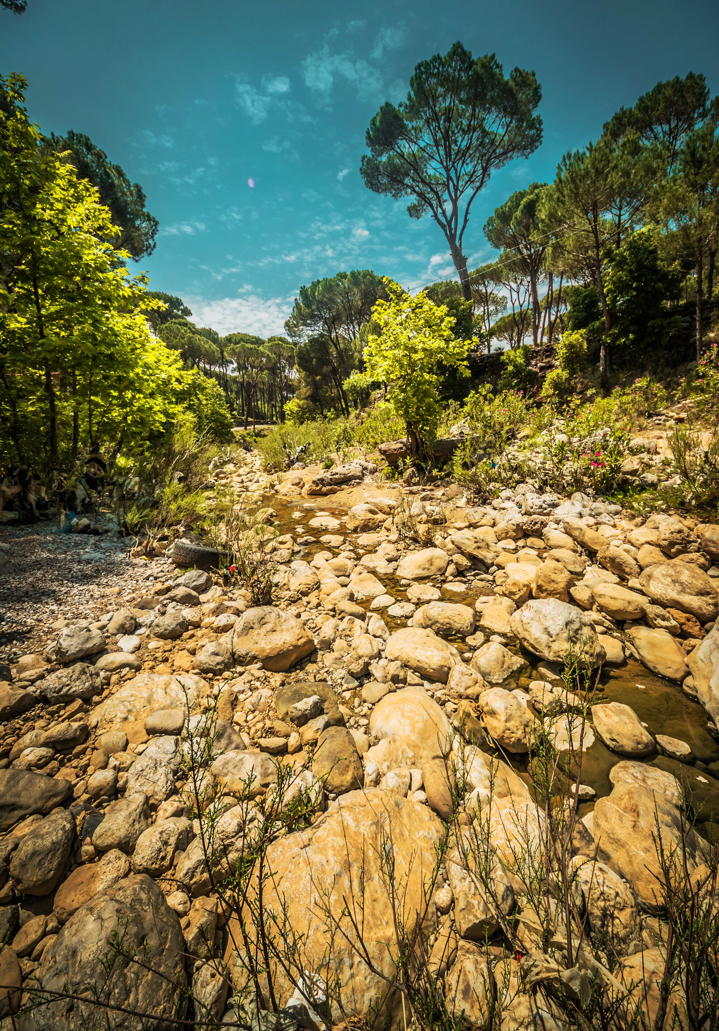 Sigma 8-16mm F4.5-5.6 DC HSM sample photo. River runs dry photography