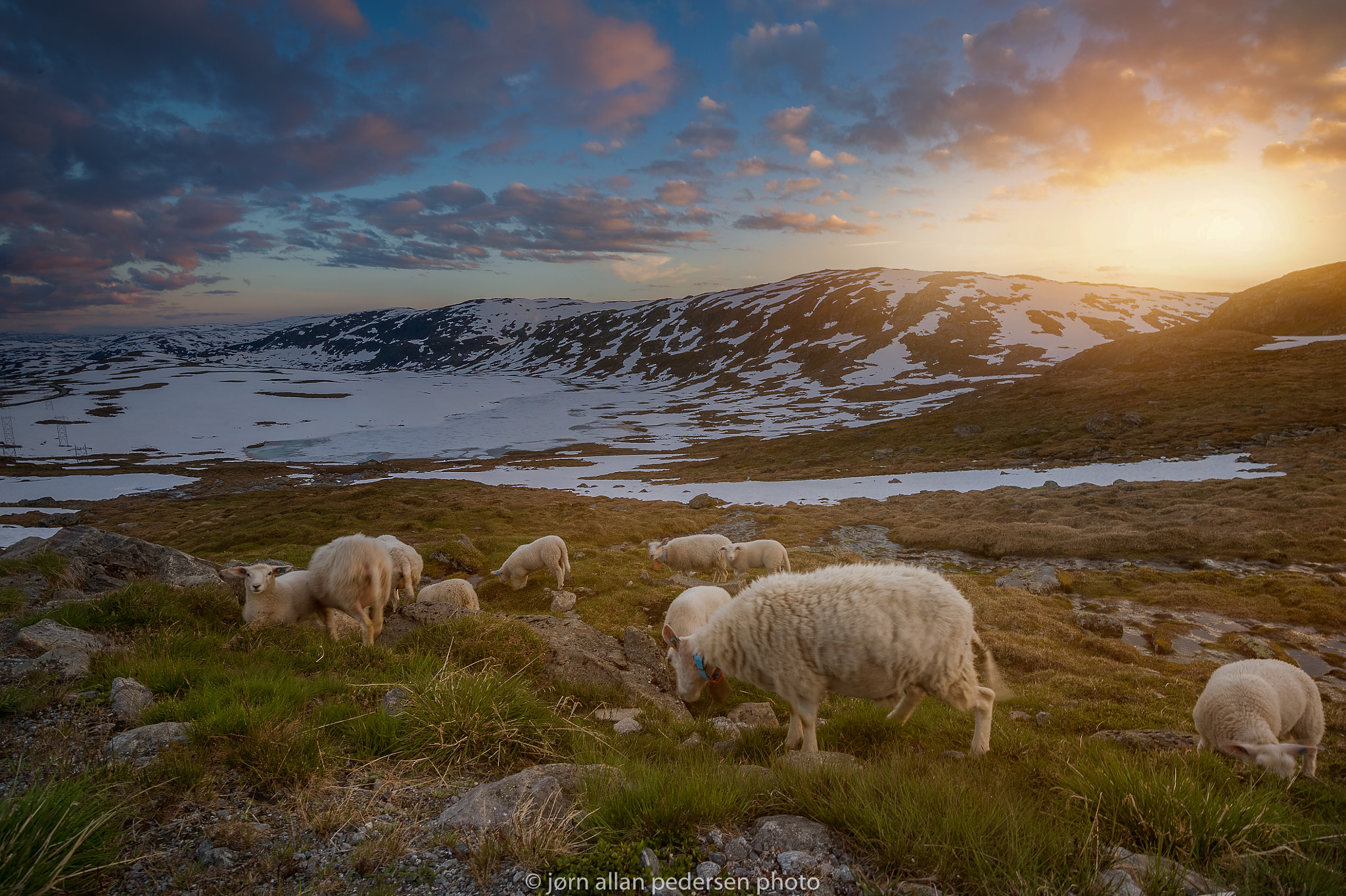 Nikon D3S sample photo. First summer night on top of the mountain photography