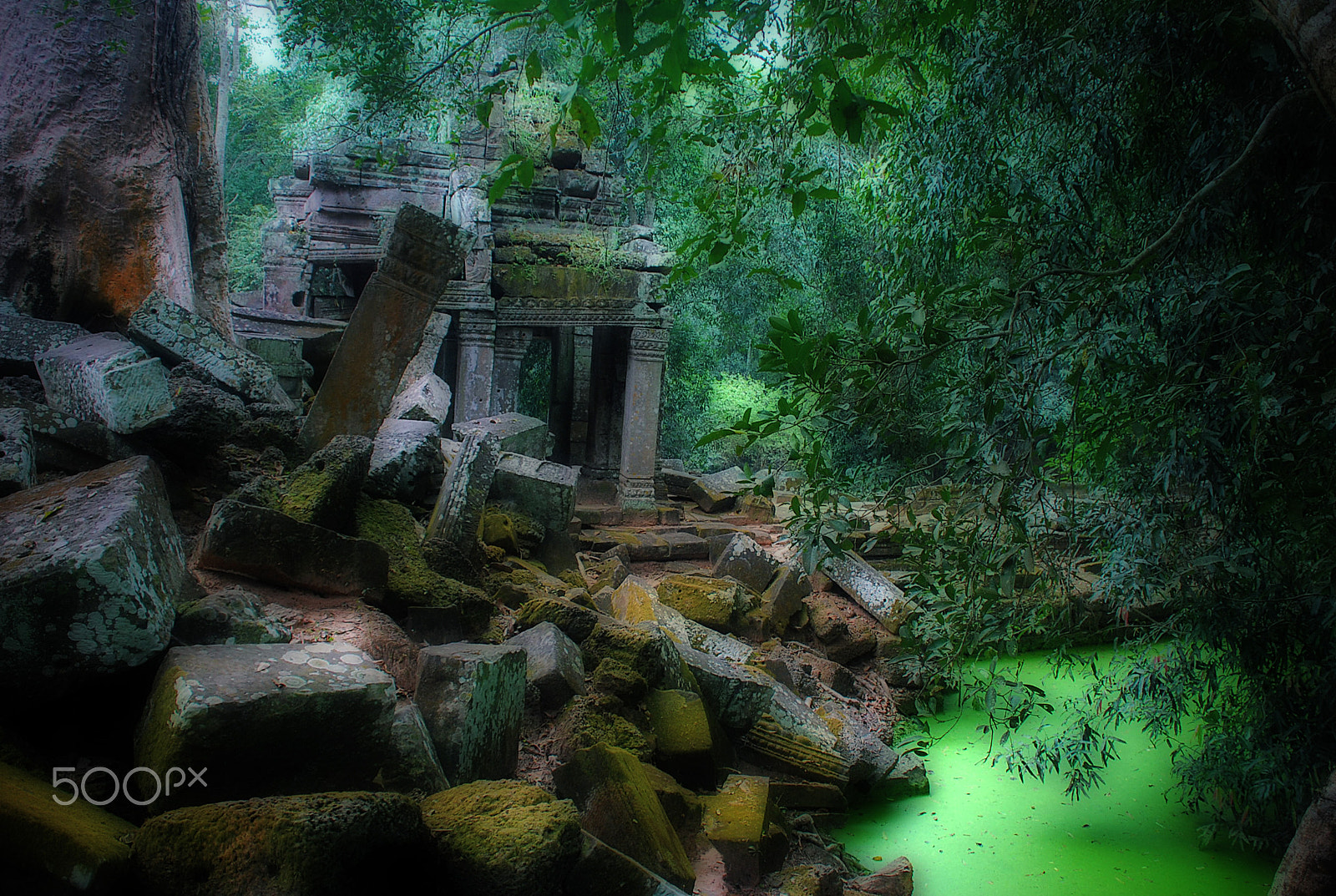 Nikon D40X sample photo. Maximage - p h o t o g r a p h y photography