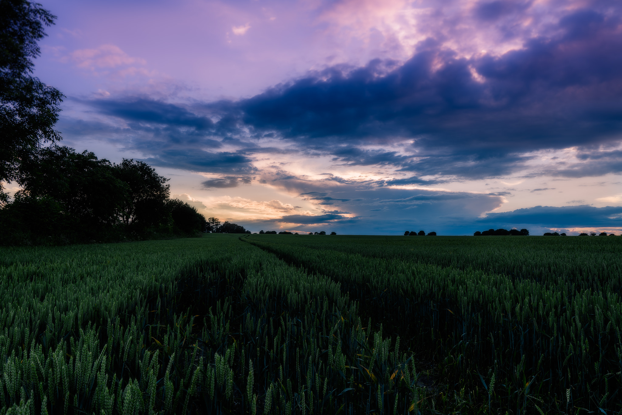 Sony a7R + Sony FE 24-70mm F2.8 GM sample photo. Sunset on the harvest photography