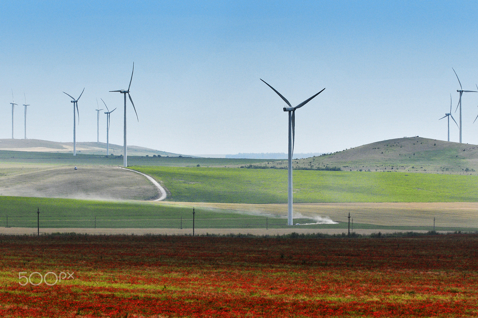 Nikon D300S sample photo. Dobrogea photography