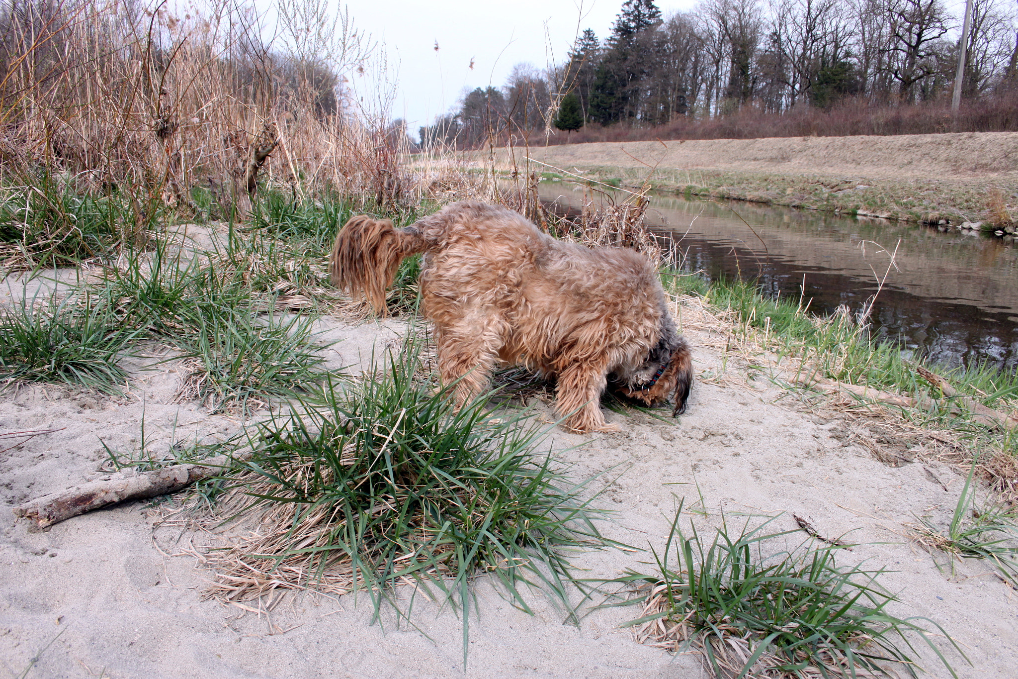 Canon EF-S 18-55mm F3.5-5.6 sample photo. Milou photography