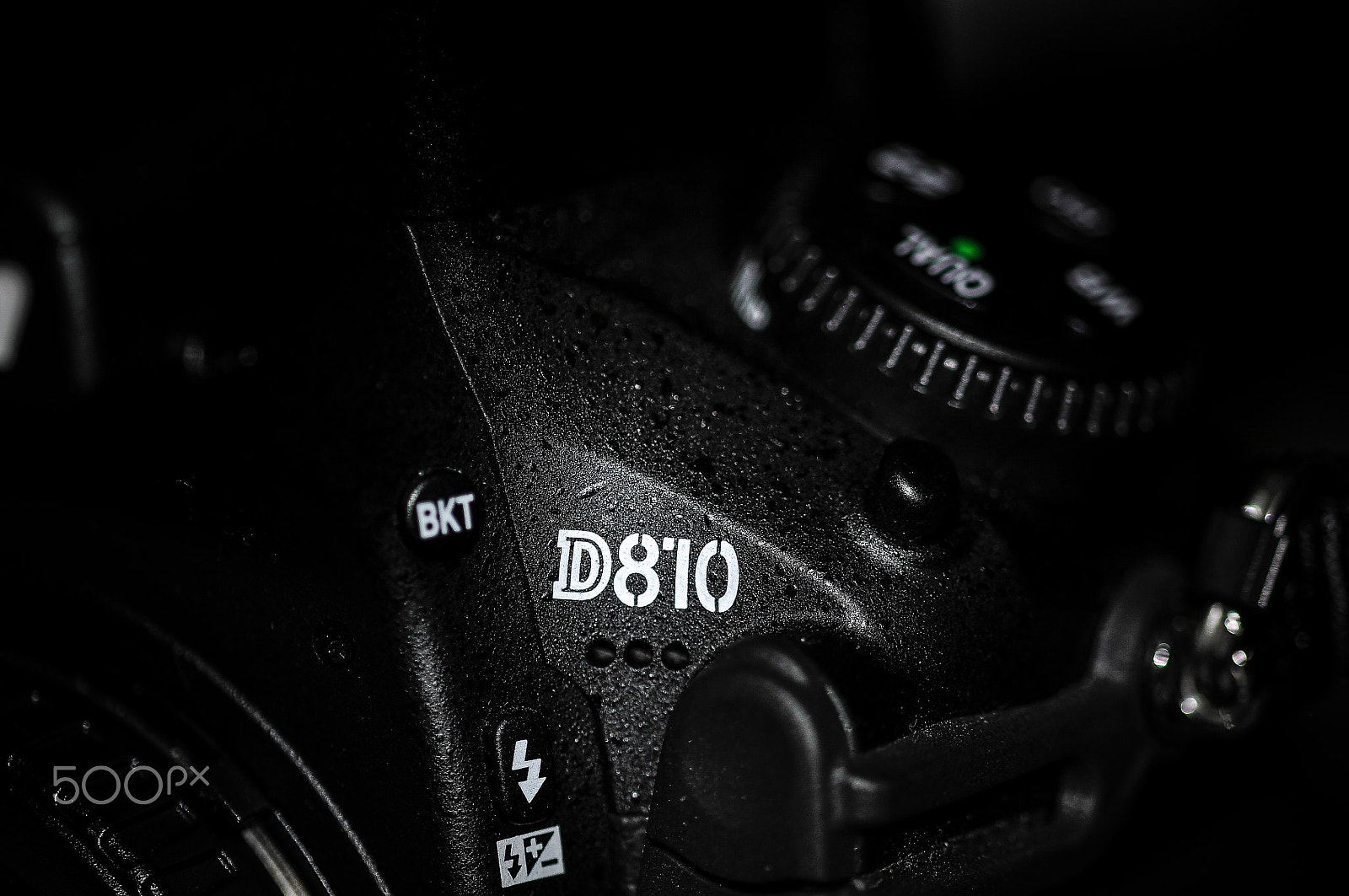 Sigma 105mm F2.8 EX DG OS HSM sample photo. Closeup photography