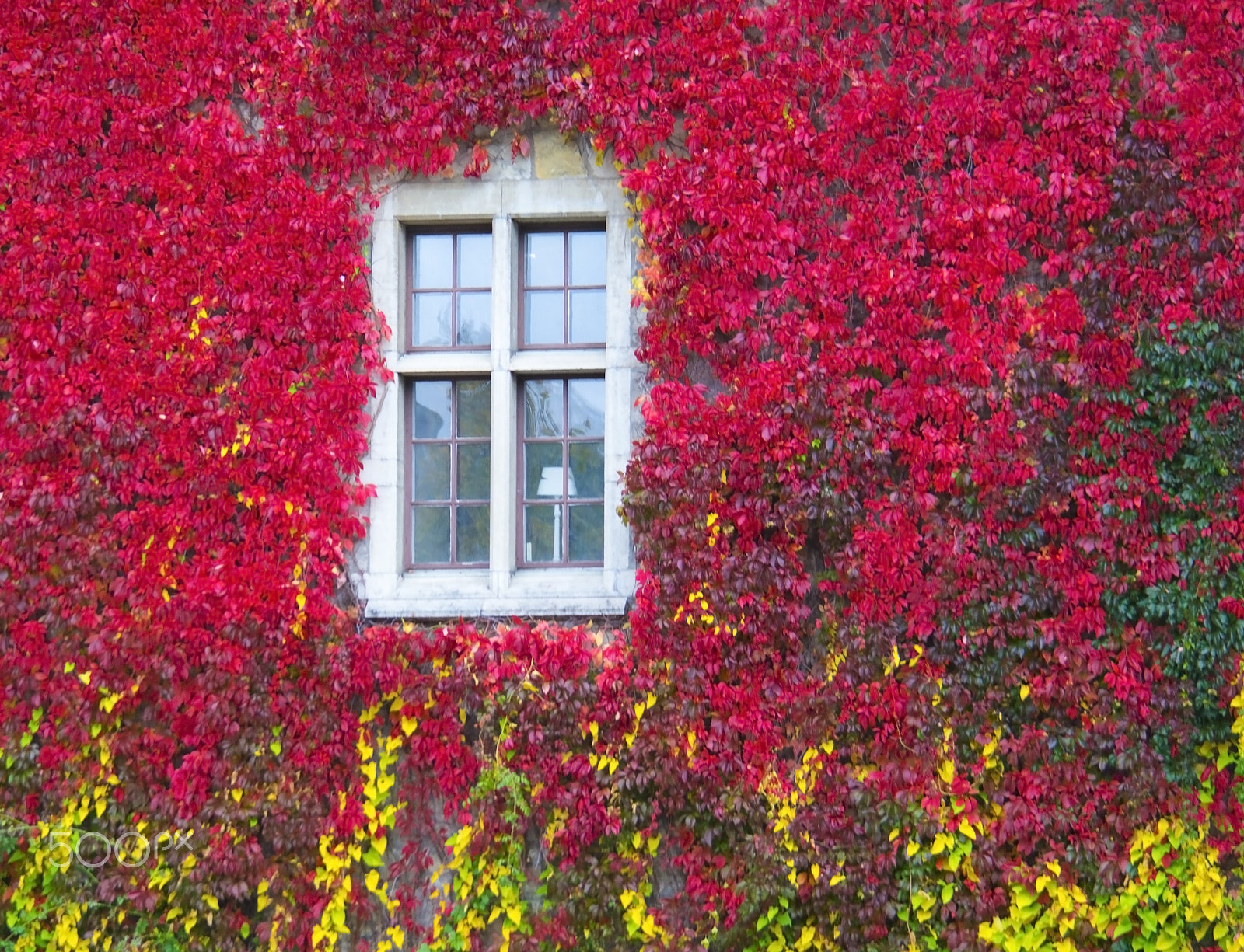 Samsung NX 50-200mm F4-5.6 ED OIS sample photo. A colorful wall. photography
