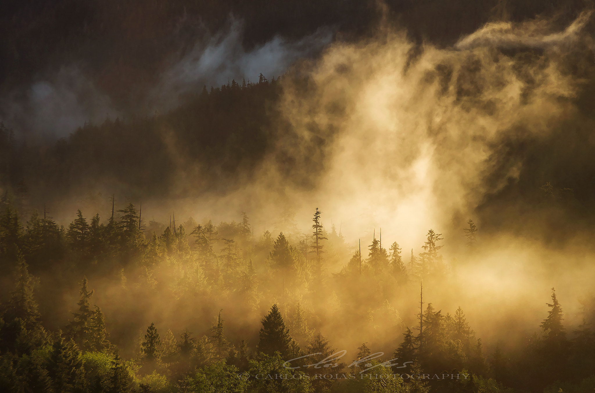 Tamron AF 18-200mm F3.5-6.3 XR Di II LD Aspherical (IF) Macro sample photo. Misty awakening photography