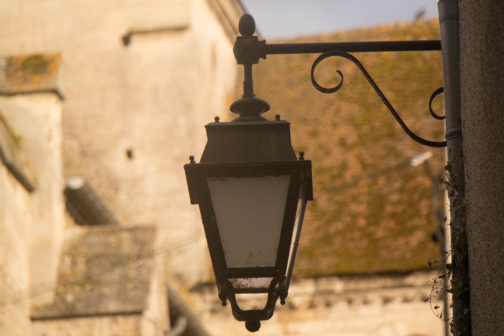 Samsung NX2000 + Samsung NX 50-200mm F4-5.6 ED OIS sample photo. The looks bright photography