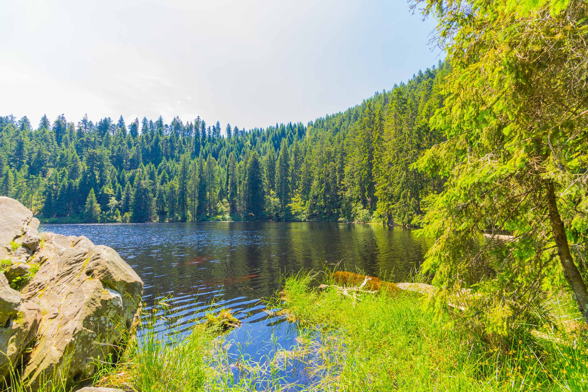Canon EF-S 10-18mm F4.5–5.6 IS STM sample photo. Glas wald photography