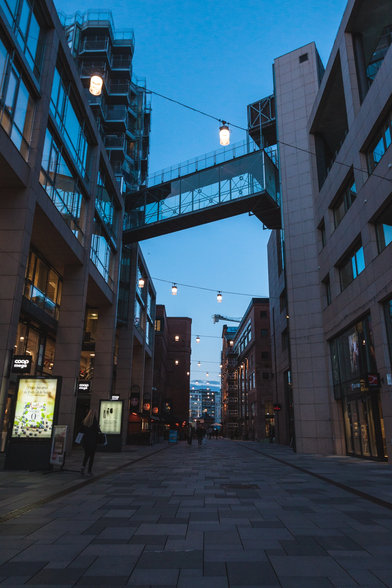 Canon EF 16-35mm F2.8L II USM sample photo. Oslo photography