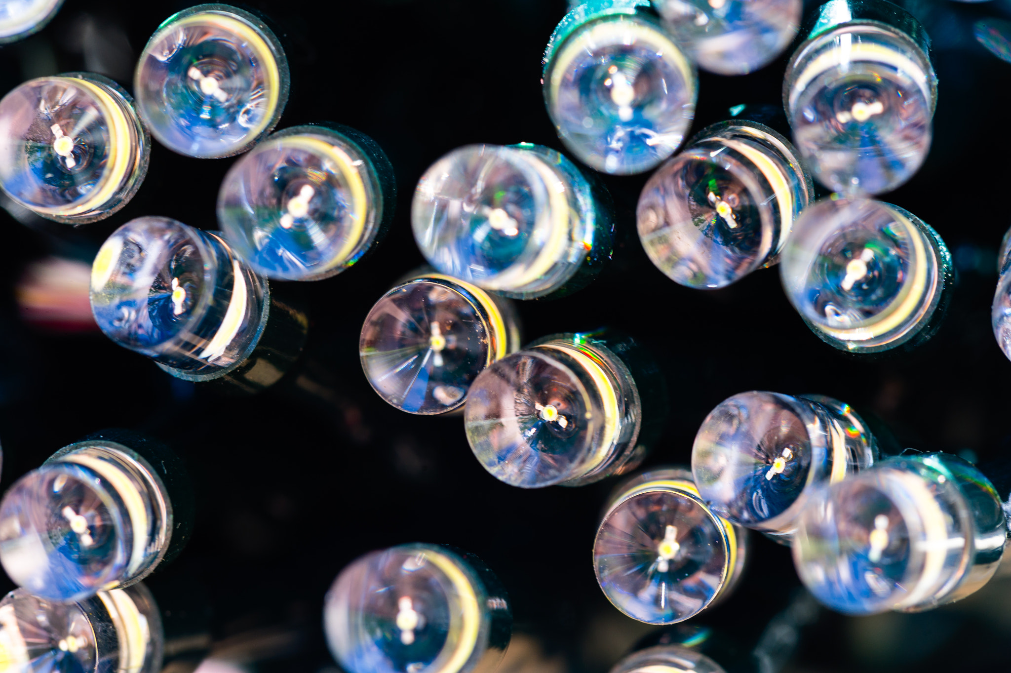 Sigma 150mm F2.8 EX DG Macro HSM sample photo. Light it up photography