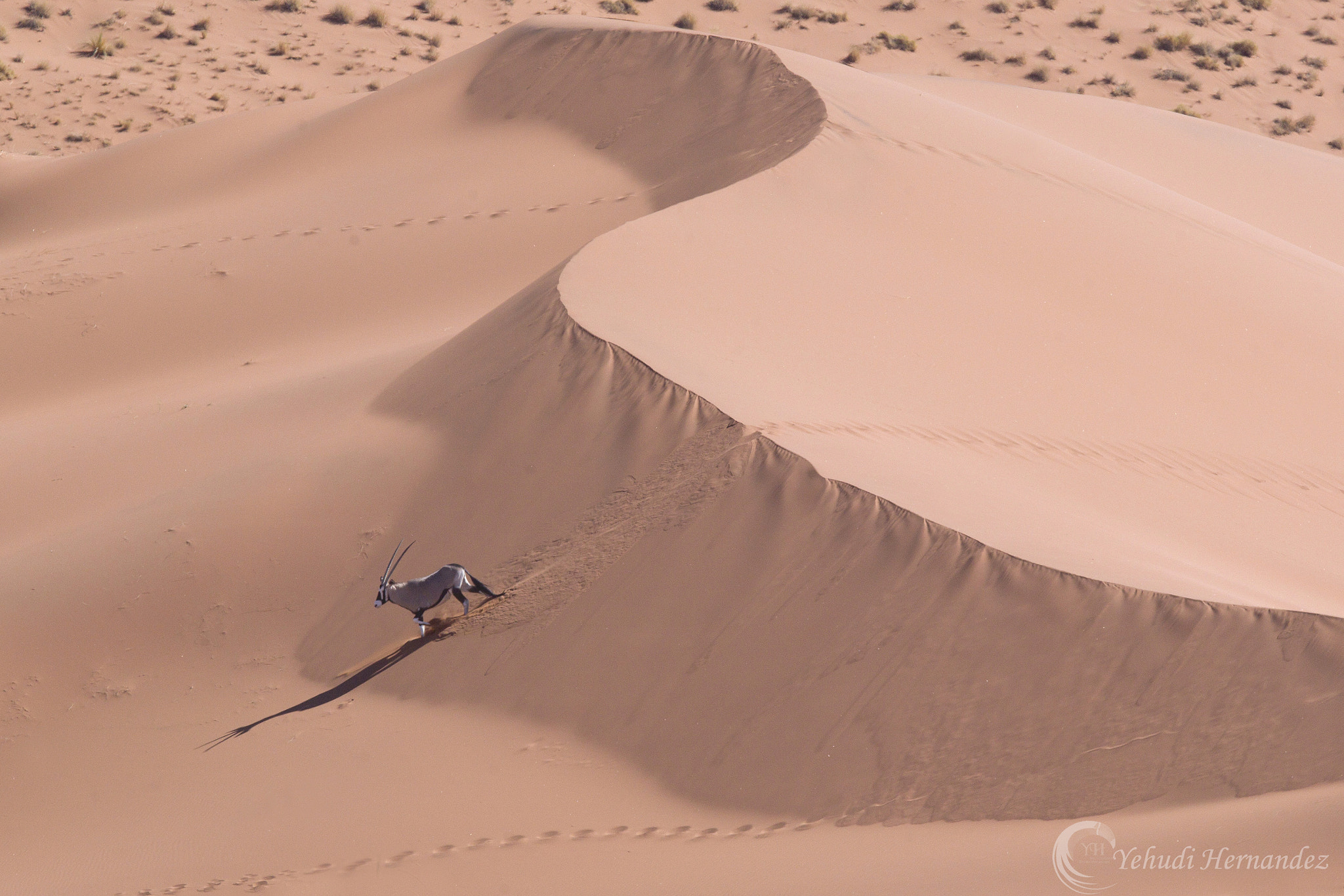 Canon EF 300mm F2.8L IS USM sample photo. Crossing the dune photography