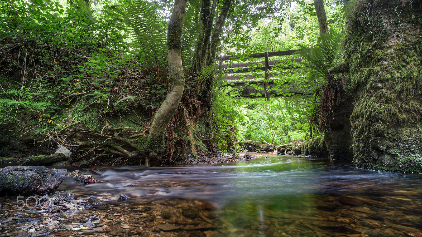 Sony Alpha NEX-6 + Sony E 10-18mm F4 OSS sample photo. The kingfisher route photography