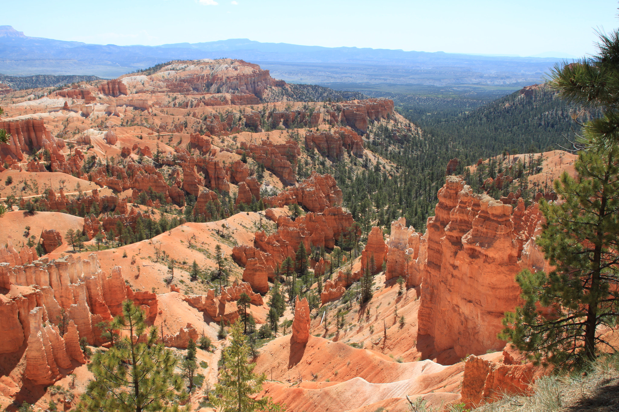 Canon EOS 500D (EOS Rebel T1i / EOS Kiss X3) sample photo. Bryce canyon photography