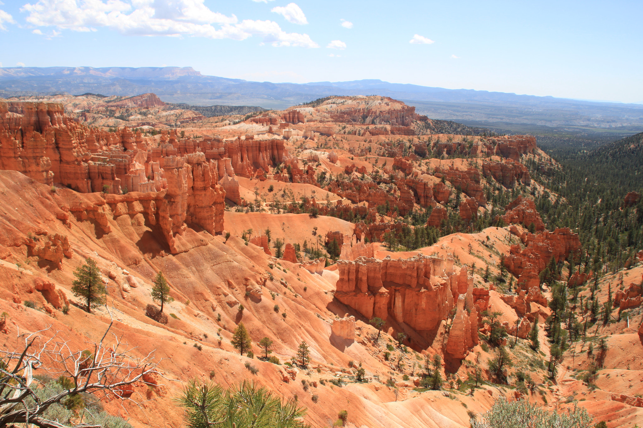 Canon EOS 500D (EOS Rebel T1i / EOS Kiss X3) sample photo. Bryce canyon photography