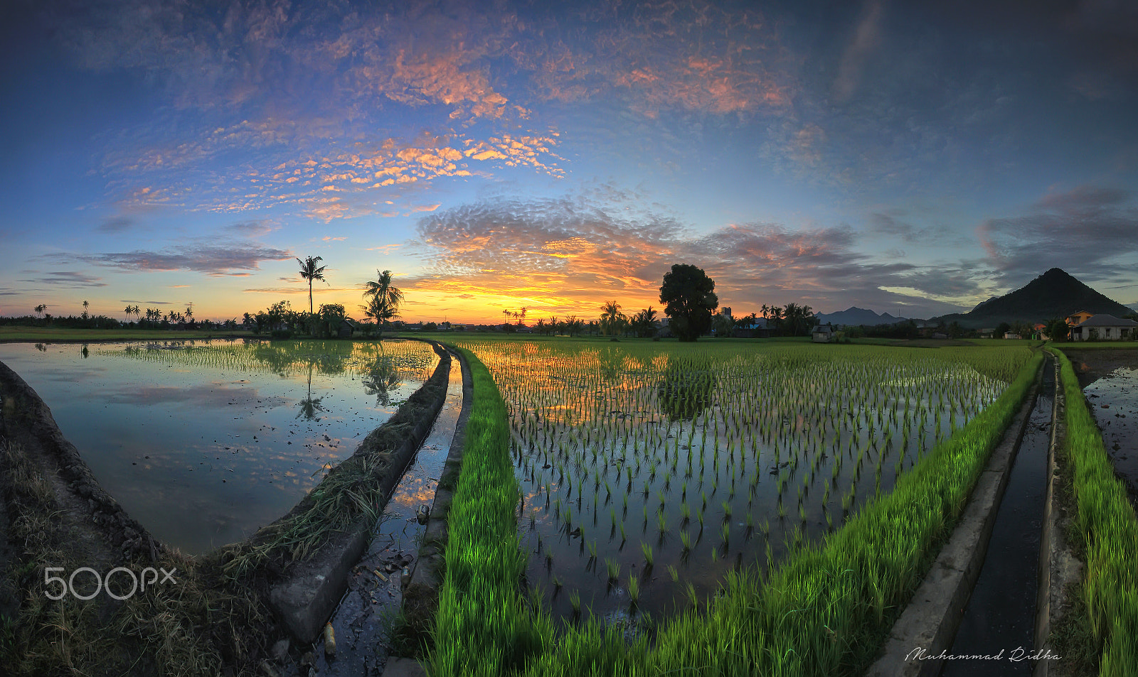 Canon EF-S 10-18mm F4.5–5.6 IS STM sample photo. Field in morning photography