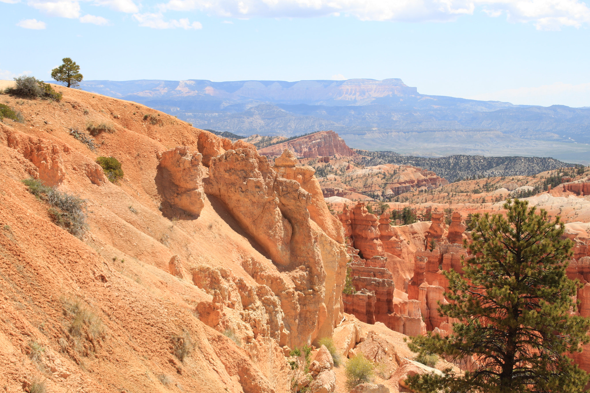 Canon EOS 500D (EOS Rebel T1i / EOS Kiss X3) sample photo. Bryce canyon photography